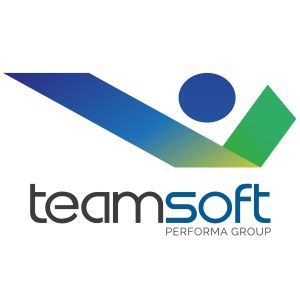 TeamSoft Servizi Professionali srl